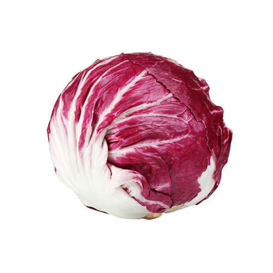 Radicchio