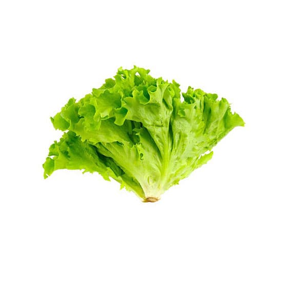 Lettuce