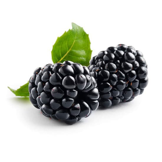 Blueberry