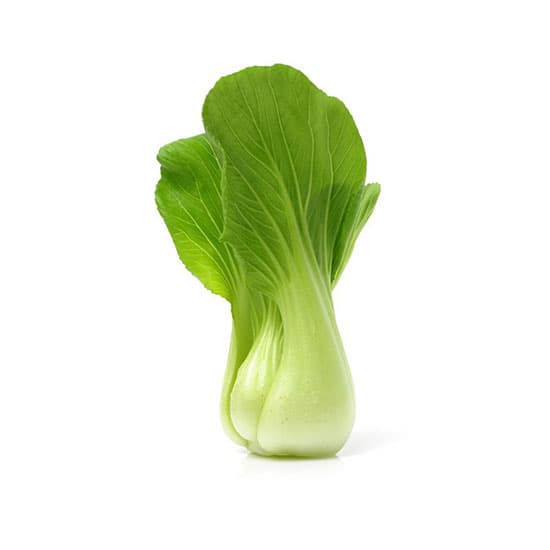 Bok Choy Cabbage