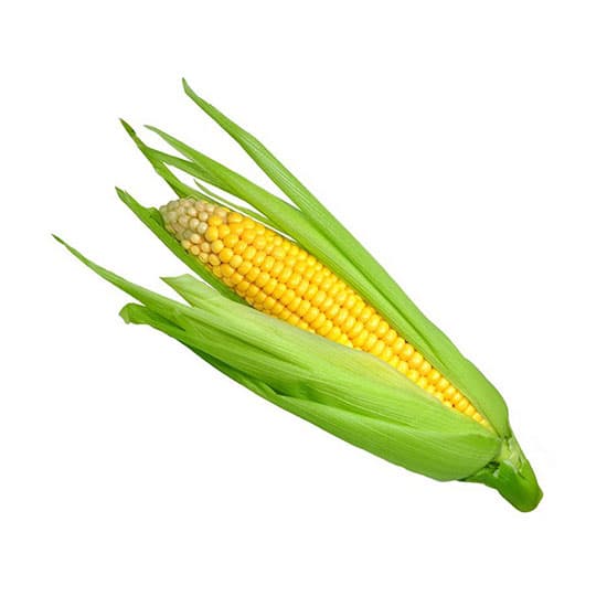 Yellow Sweet Corn